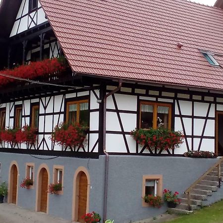 Steinhof Lejlighed Oberkirch  Eksteriør billede