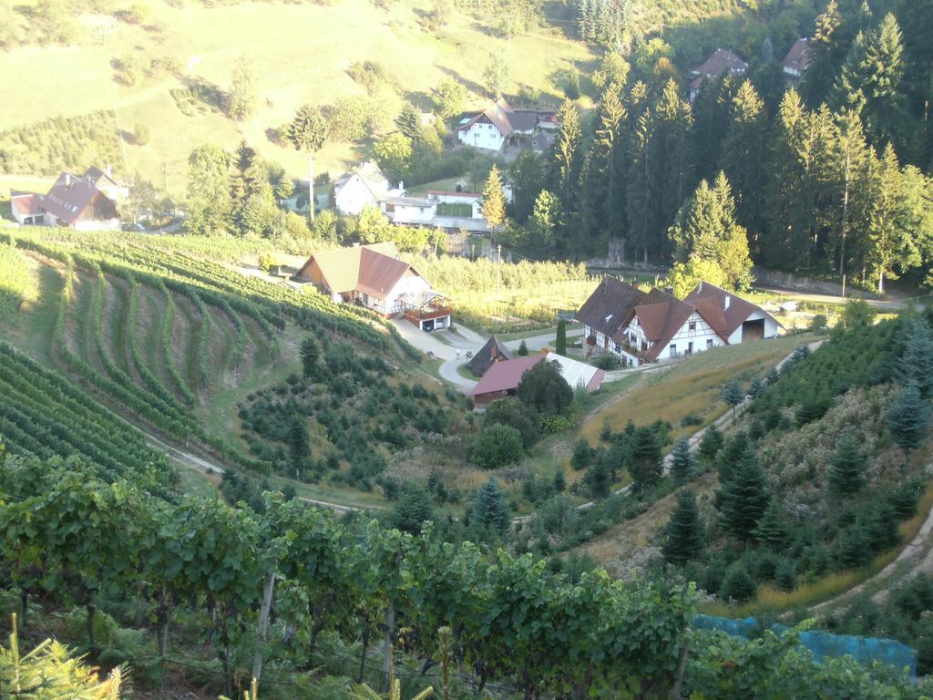 Steinhof Lejlighed Oberkirch  Eksteriør billede