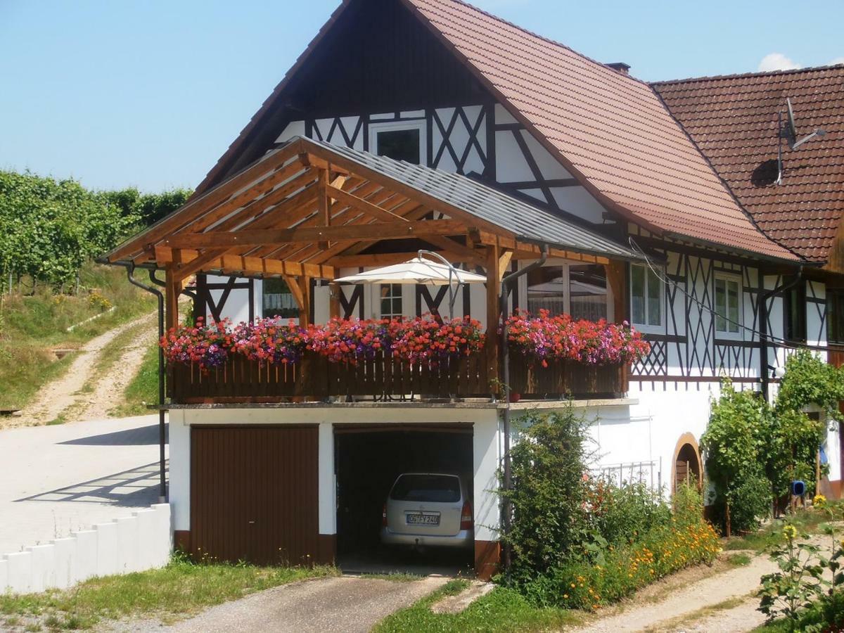 Steinhof Lejlighed Oberkirch  Eksteriør billede