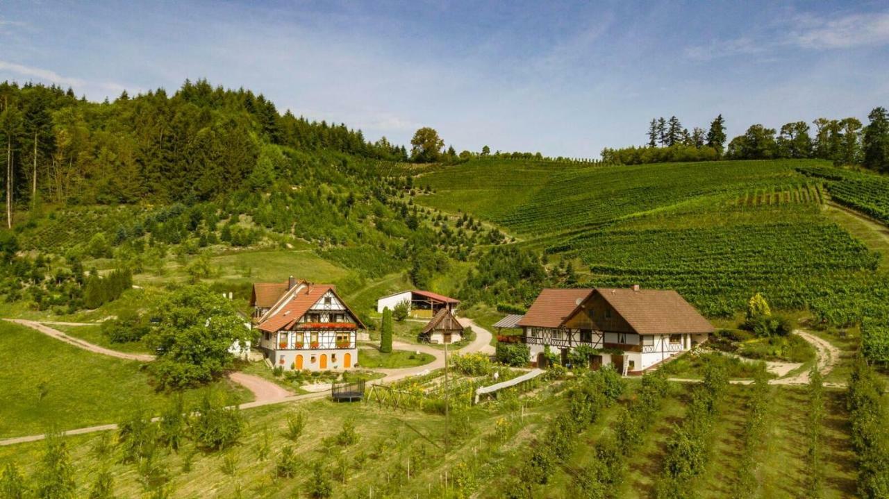 Steinhof Lejlighed Oberkirch  Eksteriør billede