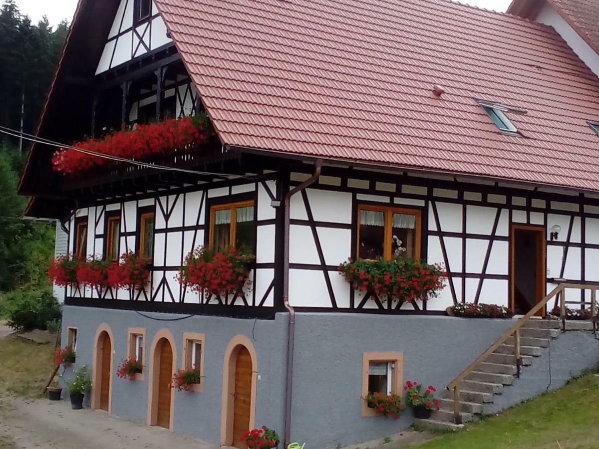 Steinhof Lejlighed Oberkirch  Eksteriør billede
